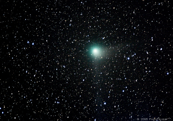 kometa Machholz
